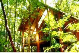 The Canopy Treehouses - Accommodation Port Macquarie