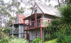 Great Ocean Road Cottages - Accommodation Port Macquarie