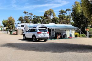 Ardrossan Caravan Park - Accommodation Port Macquarie