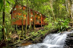 The Mouses House - Rainforest Retreat - Accommodation Port Macquarie